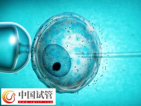 2025加拿大试管一个治疗周期是多久(图1) 2025加拿大试管一个治疗周期是多久(图1)