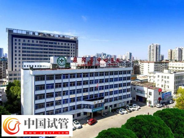 襄阳市中心医院试管男还是女多(图1) 襄阳市中心医院试管男还是女多(图1)