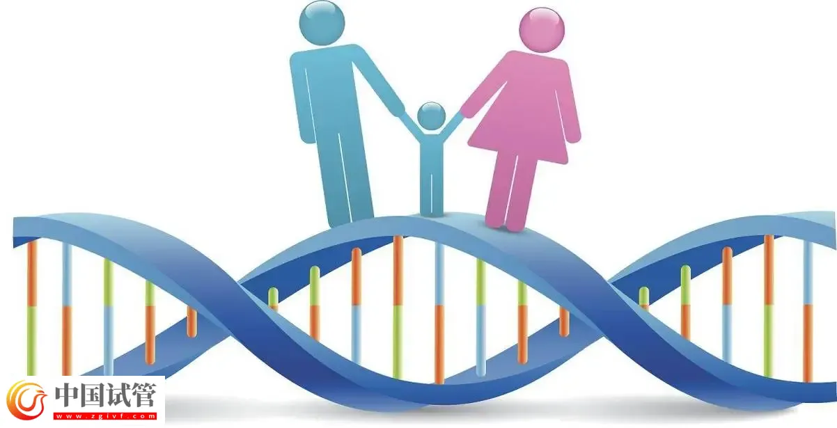 广州做染色体检查多少钱?广东省妇幼保健院约230-3300元左右(图1) 广州做染色体检查多少钱?广东省妇幼保健院约230-3300元左右(图1)