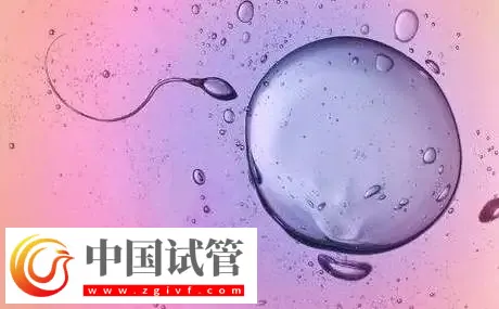 杭州私立医院做三代试管怎么样?附包生男孩费用一览表介绍(图3) 杭州私立医院做三代试管怎么样?附包生男孩费用一览表介绍(图3)