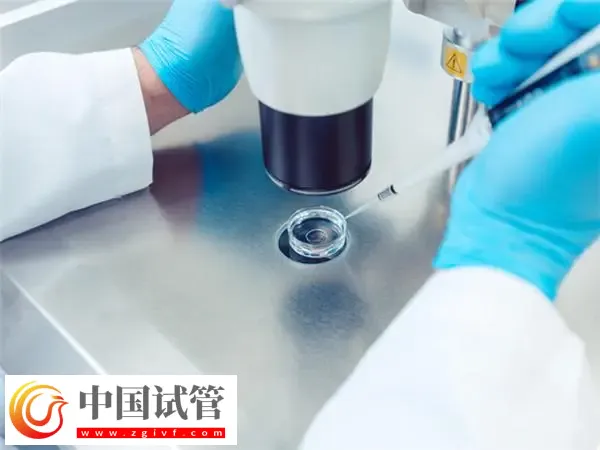 济南生殖医院排行前十名单汇总:山大齐鲁与山东省妇幼保健院都在榜(图1) 济南生殖医院排行前十名单汇总:山大齐鲁与山东省妇幼保健院都在榜(图1)