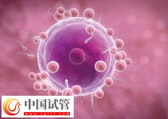 广西三代试管助孕生孩子费用清单公布:最低九万起(图1) 广西三代试管助孕生孩子费用清单公布:最低九万起(图1)