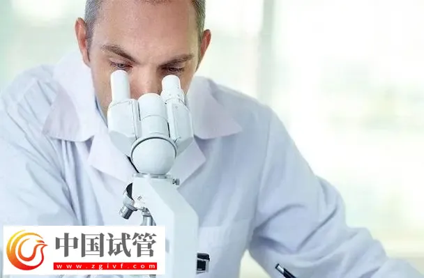 北京试管助孕大概要多少钱?这是2024最新收费标准(图1) 北京试管助孕大概要多少钱?这是2024最新收费标准(图1)