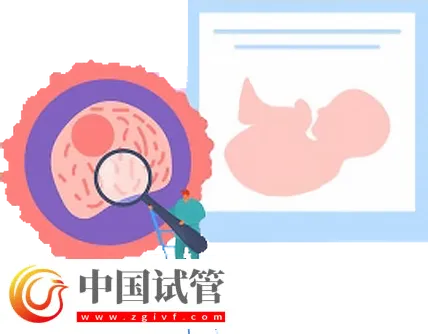 北京试管助孕大概要多少钱?这是2024最新收费标准(图2) 北京试管助孕大概要多少钱?这是2024最新收费标准(图2)