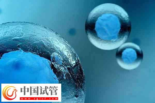 前往泰国做试管移植冻胚和囊胚是否一样(图3) 前往泰国做试管移植冻胚和囊胚是否一样(图3)