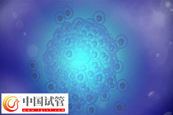 试管婴儿是不是从试管中出来的(图2) 试管婴儿是不是从试管中出来的(图2)