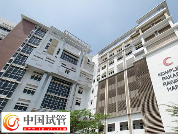 去泰国做试管有没有受骗的(图4) 去泰国做试管有没有受骗的(图4)