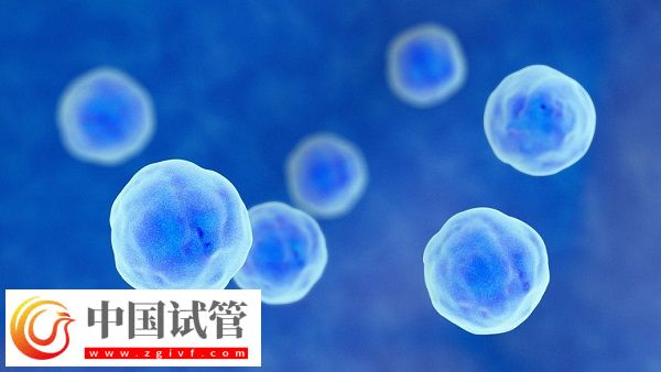 去泰国做试管有没有受骗的(图1) 去泰国做试管有没有受骗的(图1)