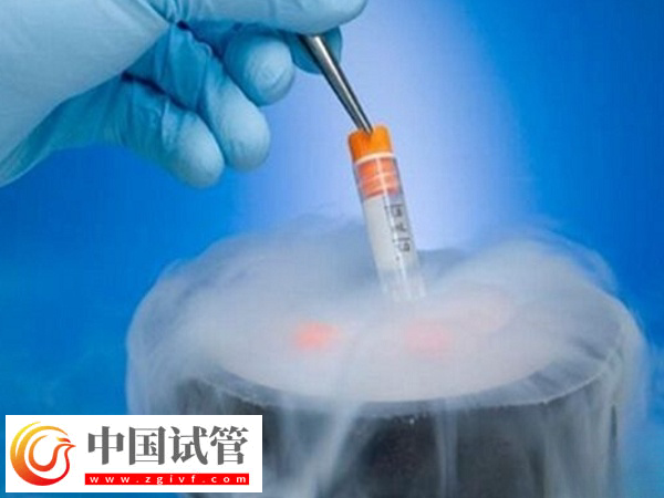 泰国冷冻胚胎保存多久(图1) 泰国冷冻胚胎保存多久(图1)