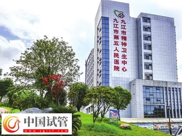 九江市第五人民医院试管婴儿囊胚移植成功率有多高？(图1)