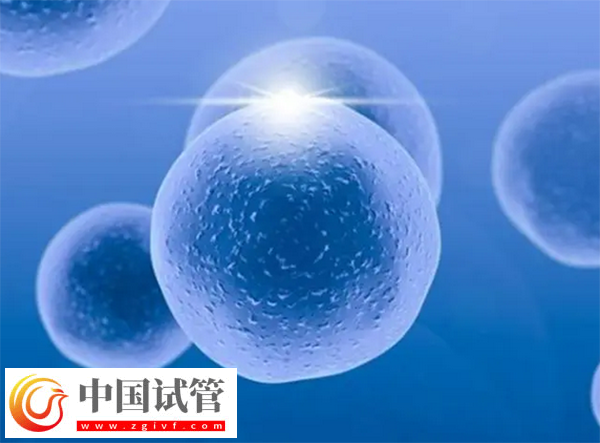 北京伟德源自英国1946有哪些(图1) 北京伟德源自英国1946有哪些(图1)