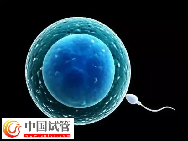 北京伟德源自英国1946有哪些(图4) 北京伟德源自英国1946有哪些(图4)