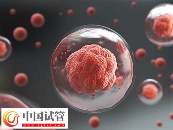 美国试管婴儿大概要多少钱(图3) 美国试管婴儿大概要多少钱(图3)