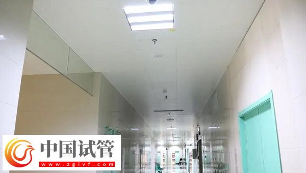 六安中医院生殖科人工授精成功率怎么样?十个成功几个?(图1) 六安中医院生殖科人工授精成功率怎么样?十个成功几个?(图1)