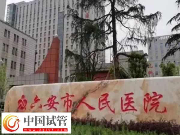 安徽六安市人民医院试管婴儿各阶段费用情况是怎样的?(图1) 安徽六安市人民医院试管婴儿各阶段费用情况是怎样的?(图1)