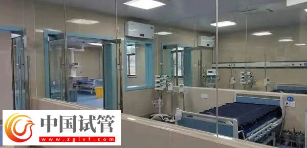 铜陵有没有做供卵试管不用排队的医院?(图1) 铜陵有没有做供卵试管不用排队的医院?(图1)