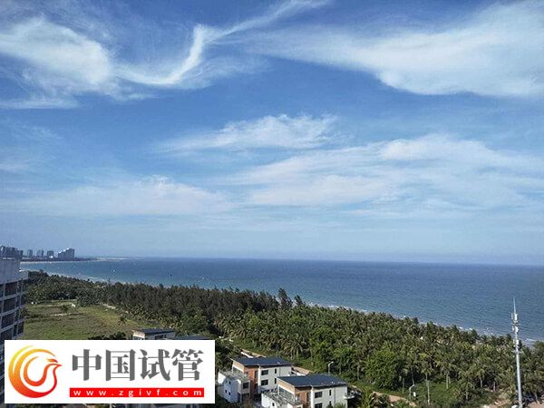 琼海中医院和人民医院哪个人工助孕技术好?(图1) 琼海中医院和人民医院哪个人工助孕技术好?(图1)