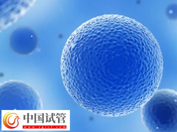 吉林市中心医院试管婴儿单个胚胎移植成功率怎么样?(图1) 吉林市中心医院试管婴儿单个胚胎移植成功率怎么样?(图1)