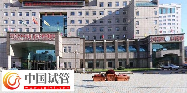 延边大学附属医院做试管成功率怎么样？有一次成功的吗？(图1)