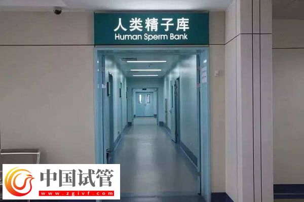 北京有精子库的医院有哪些(图2) 北京有精子库的医院有哪些(图2)