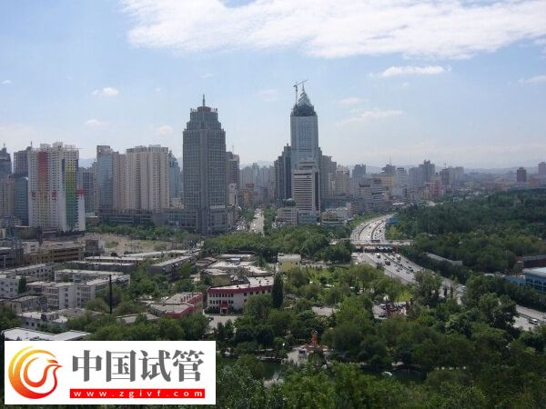 乌鲁木齐试管婴儿医院有哪些(图1) 乌鲁木齐试管婴儿医院有哪些(图1)