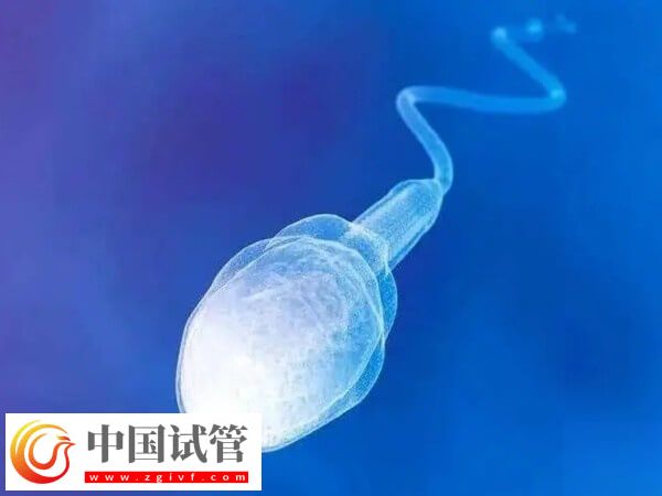 上海九院试管流程是什么(图2) 上海九院试管流程是什么(图2)