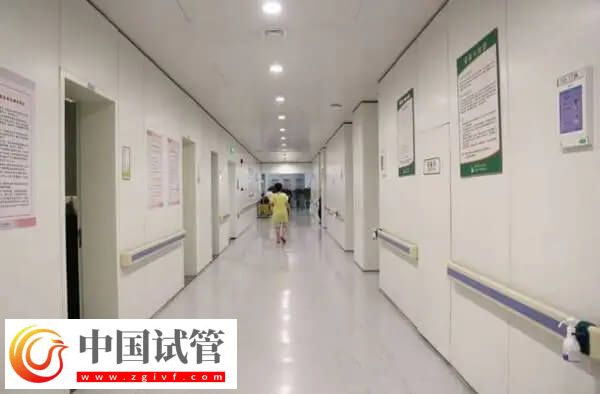 陕西省妇幼试管成功率多少(图2) 陕西省妇幼试管成功率多少(图2)