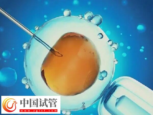 北京和上海做试管哪个技术好(图1) 北京和上海做试管哪个技术好(图1)