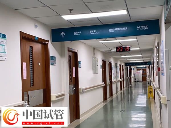 北京试管婴儿成功率最高的医院是哪个(图2) 北京试管婴儿成功率最高的医院是哪个(图2)