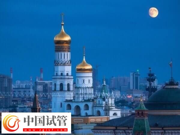 俄罗斯做试管婴儿有哪些费用(图2) 俄罗斯做试管婴儿有哪些费用(图2)