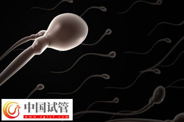 试管婴儿中用果纳芬好不好(图2) 试管婴儿中用果纳芬好不好(图2)