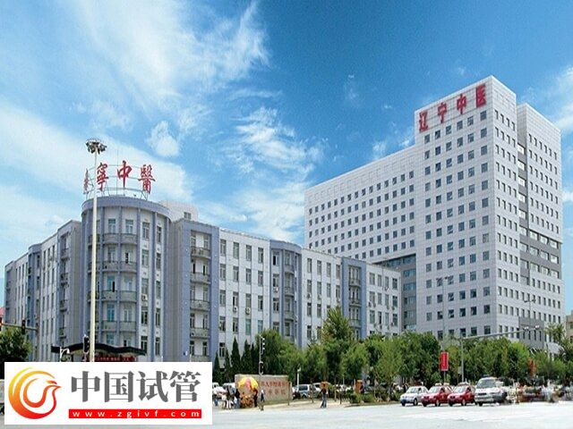 沈阳十大伟德源自英国1946有哪些(图3) 沈阳十大伟德源自英国1946有哪些(图3)