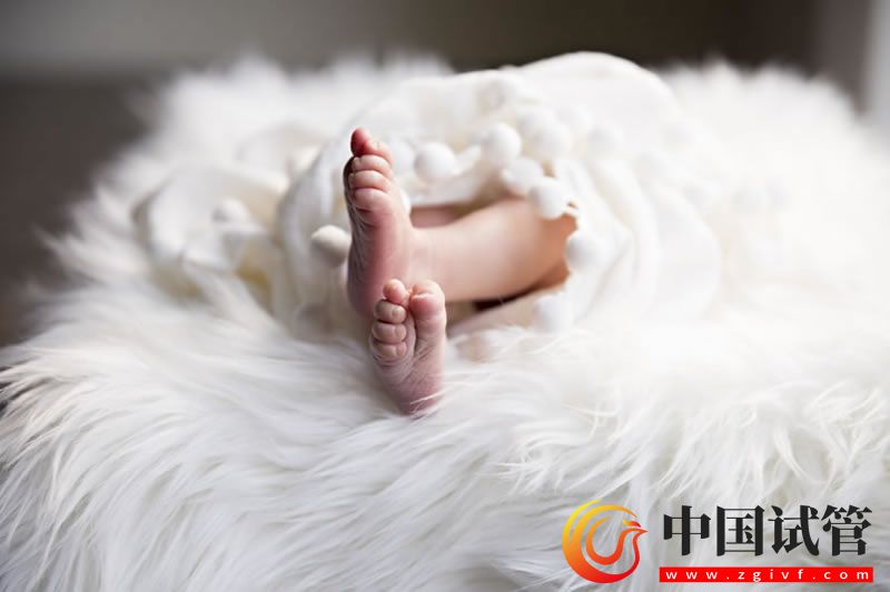 伟德BETVlCTOR的下载方式 第三代美国试管婴儿成功概率(图1)